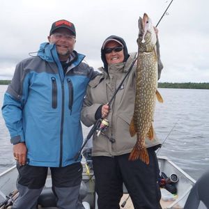 Meet your Posher, Joni